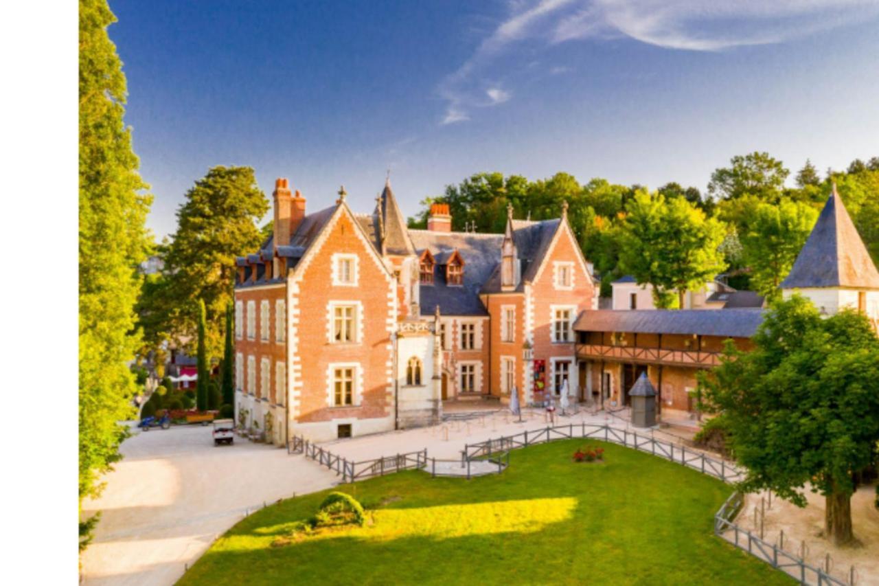 Da Vinci - Charmant Et Relax Amboise Extérieur photo